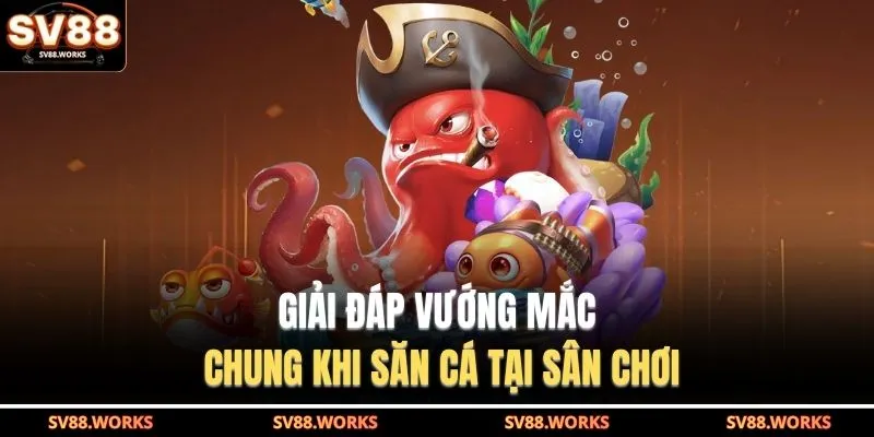 Giải đáp vướng mắc chung khi săn cá tại sân chơi