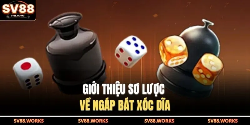 Giới thiệu sơ lược về ngáp bát xóc dĩa