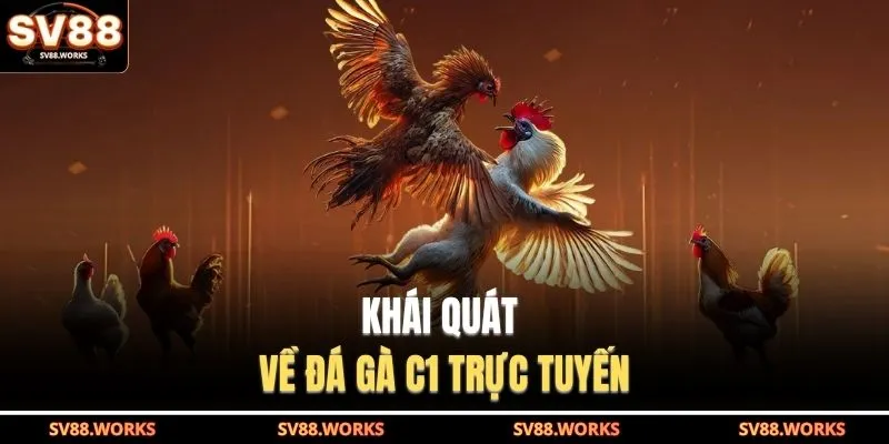 Khái quát về đá gà C1 trực tuyến