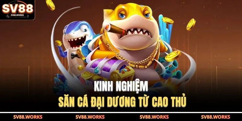 Kinh nghiệm săn cá đại dương từ cao thủ