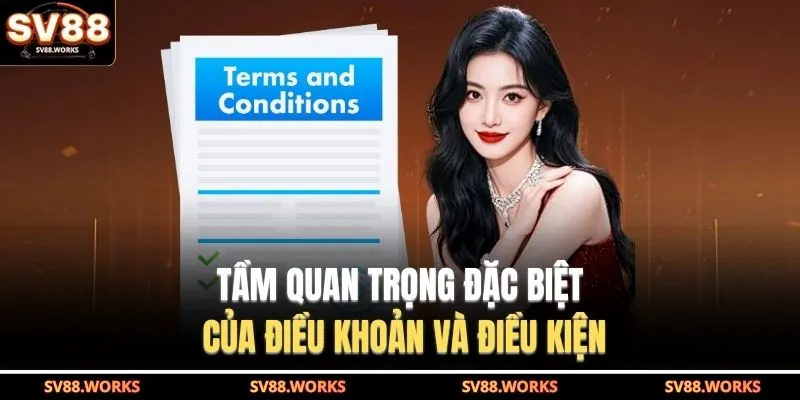 Tầm quan trọng đặc biệt của điều khoản và điều kiện
